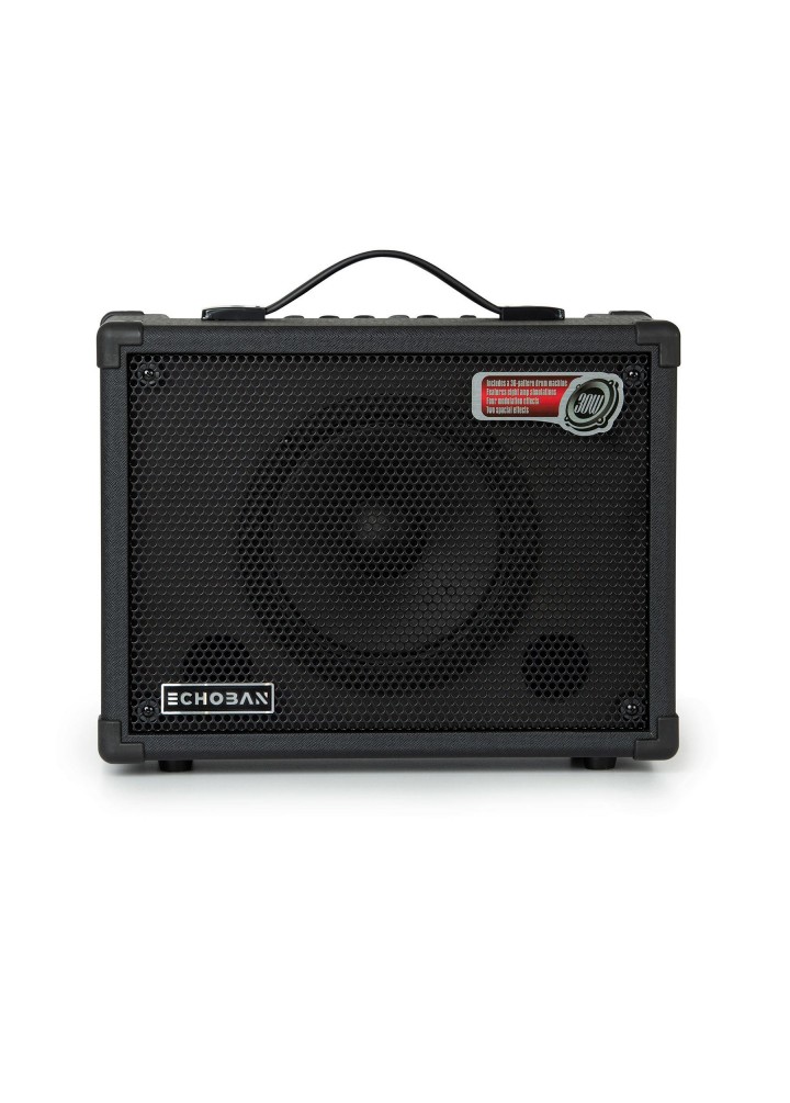 Echoban DC30 30 Watt Amfi